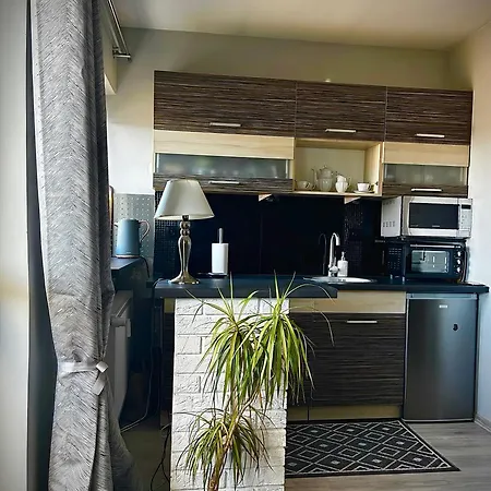 Piastowska Apartment
