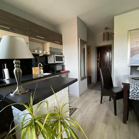 Apartment Piastowska *